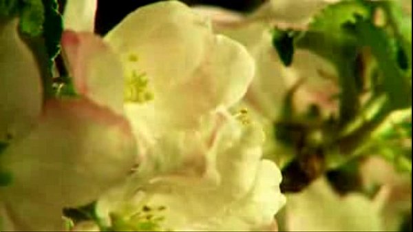 Neeye Nirantharam   &agrave_&reg_&uml_&agrave_&macr_&euro_&agrave_&reg_&macr_&agrave_&macr_&Dagger_